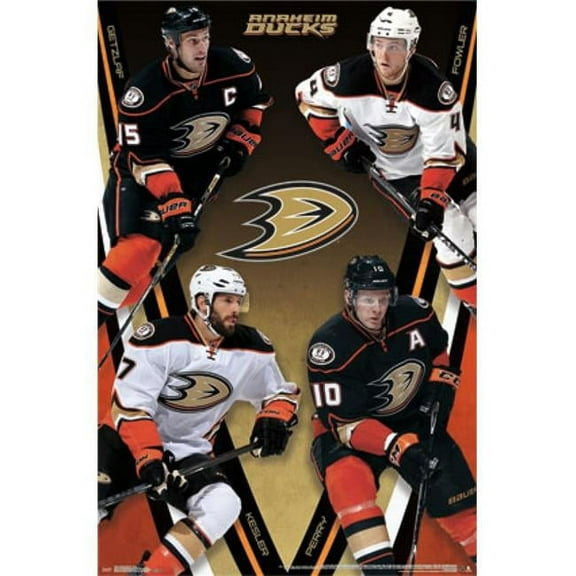 Posterazzi TIARP13910 Anaheim Ducks - Group 14 Poster Print - 22 x 34 in.