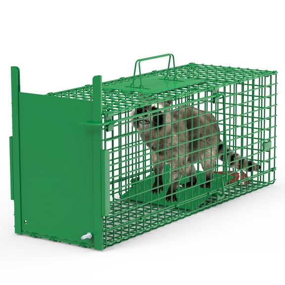 iMounTEK 30" Galvanized Iron Live Animal Cage Trap, 1 Door Heavy Duty Folding Humane Trap Cage for Cats Rabbits Squirrels, Green