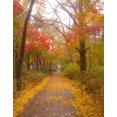 thumbnail image 2 of ABPHOTO Polyester 5x7ft Photography Backdrop Rural Forest Trees Golden Leaves Nature Autumn Backdrops Seamless Baby Kids Girl Lover Wedding Portraits Background Photo Studio Prop CA706, 2 of 3