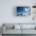 thumbnail image 2 of Tristan Shu 'Higher' Canvas Art, 2 of 4