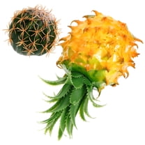 MLINS 2pcs Car Antenna Topper Auto Antenna Topper Pineapple Shape Auto Mirror Dangler Supply