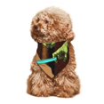 thumbnail image 3 of Lsque Scooby-Doo Printing Dog Bandana ,Cat Scarf Adjustable Bib Handkerchief Accessories for Dogs Cats,Pet scarf,Pet fashion, 3 of 8