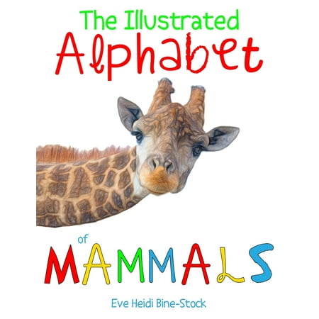 The Illustrated Alphabet of Mammals - Walmart.com