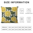 thumbnail image 6 of Jiayy  Throw Pillow Cover Lemons Black and White Stripes Summer Fresh Fruits Modern Design Throw Pillow Covers for Couch Sofa Home Decor 2 pcs, 6 of 6