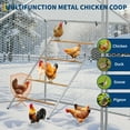 thumbnail image 3 of Gaderth Chicken Perch Bars,Large Chicken Roosting Bars,chicken coop perch for Backyard Poultry,Hen Perch for Coop, Farm Chick Ladder,Easy Installation, 3 of 5