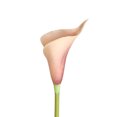 thumbnail image 2 of Gwong Decoración hogareña 1 UNID Artificial Cálculamente Arreglo de Flores Fiesta de boda DIY Muebles Decoración Gwong 21044687, 2 of 7