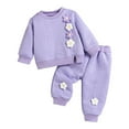 thumbnail image 5 of Xyant Toddler Baby Girl Clothes Cute 3D Floral Infant Long Sleeve Sweathsirt Fall Winter Outfits Kids Pullover Pants Set (Purple,12-18 Months), 5 of 7