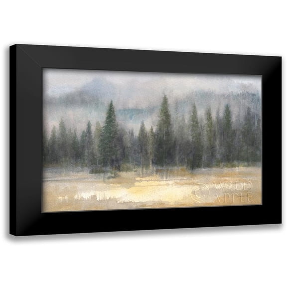 Nai, Danhui 14x11 Black Modern Framed Museum Art Print Titled - Misty Pines