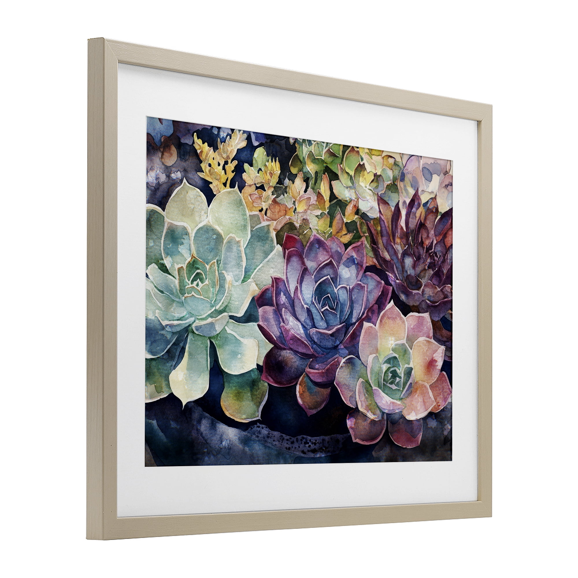Stupell Industries Tutti Succulents Collection Birch Framed Print Under Glass, design by Svetlana Aleynikova