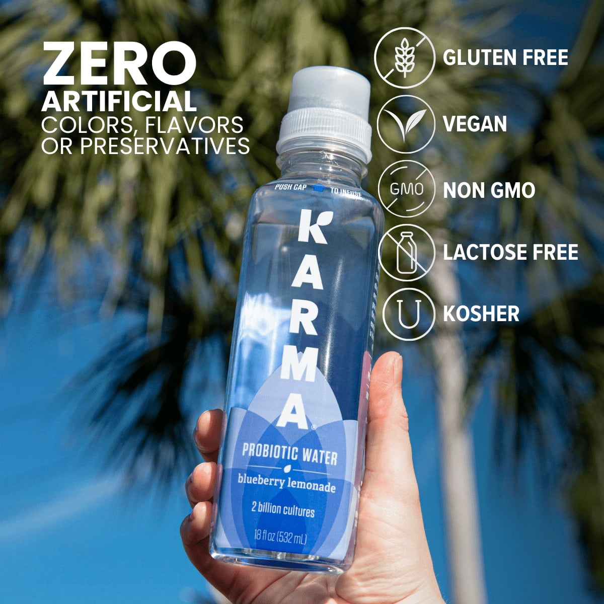 (5 pack) Karma Probiotic Water, Blueberry Lemonade, 18 fl. oz., 1 Count Bottle
