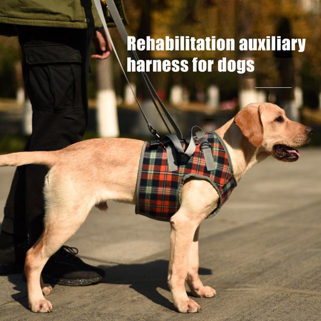 Flmtop Harnais de Levage pour Chien Réglable en Polyester à Carreaux pour Récupération Orange à Carreaux