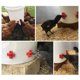 thumbnail image 4 of WDOplteas Bebedero para Pollos  Bebedero Automático Horizontal Con Tetinas para Pollo  12 Uds., 4 of 9