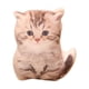 thumbnail image 2 of Lindo juguete de peluche decorativo, muñeco de animal, juguete coleccionable para dormir, sofá de juguete Estilo E, 2 of 9