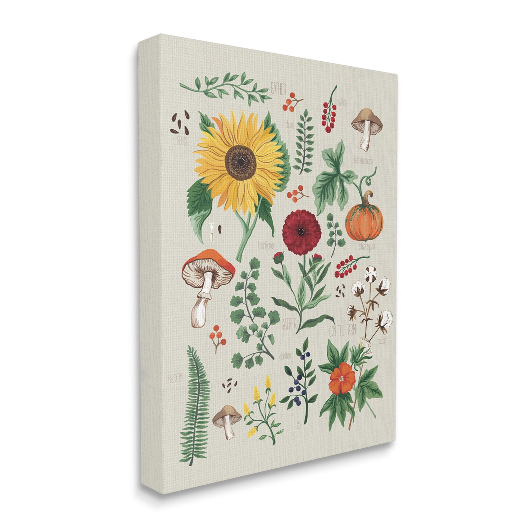 Stupell Industries Botanical & Seeds Study Botanical & Floral Painting Gallery Wrapped Canvas Art Print Wall Art, 24 x 30