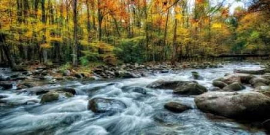 Painted Autumn Canv