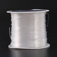thumbnail image 3 of 53 Lbs 0.6mm Translucent Clear Nylon Fishing Line Fishing Line Fishing Line, 3 of 5