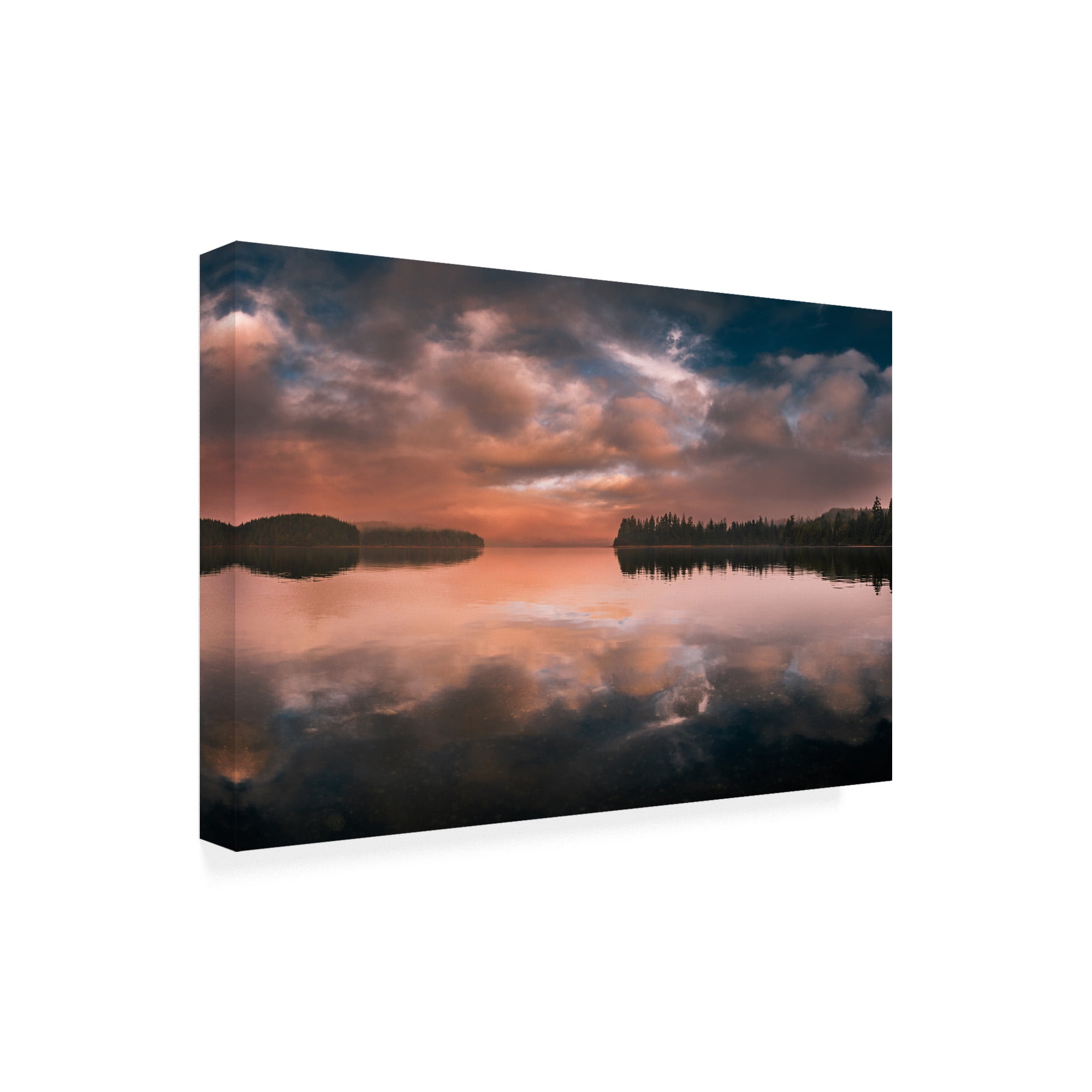 Trademark Fine Art 'Western Sunset Forest' Canvas Art by Vladimir Kostk