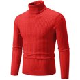 thumbnail image 1 of Suéter de cuello alto de color sólido para hombre, novedad de 2024, negro, blanco y azul real, jersey informal sencillo a la moda para hombre, 1 of 5