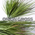 thumbnail image 4 of 6PCS Artificial Grass Plant, Shrubs Wheat Grass, Greenery Stems Fake Weed for Room Indoor Home Decor, Tall Grass Plants for Outdoor Decor, 4 of 10