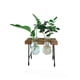 thumbnail image 4 of Maceta para plantas hidropónicas, creativa, pequeña, de vidrio, con banco, florero, artesanías de vidrio y madera frescas, 4 of 5