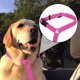 thumbnail image 2 of 2uds Rosa Nylon Ajustable Gato Perro Mascota Asiento Correa Cuerda para Coche Automático, 2 of 7