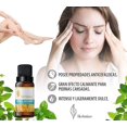 thumbnail image 2 of Aceite Esencial Menta Arvensis 10 Ml Aromaterapia Herbolare Herbolare Menta Arvensis, 2 of 3