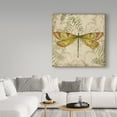 thumbnail image 3 of Trademark Fine Art 'Dragonfly Daydreams 1' Canvas Art by Jean Plout, 3 of 3