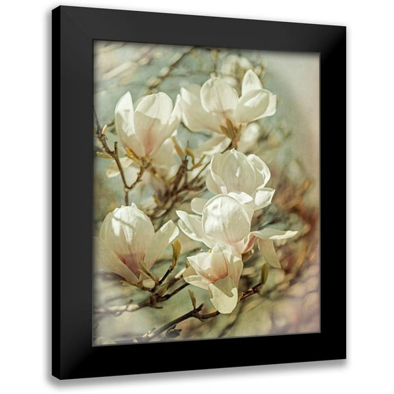 Ryan, Brooke T. 12x14 Black Modern Framed Museum Art Print Titled - Vintage Inspired Magnolias