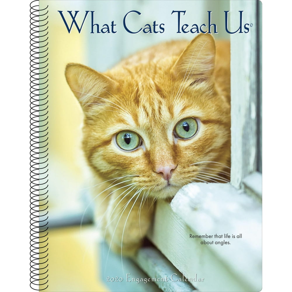 What Cats Teach Us 2020 Engagement Calendar (Other) - Walmart.com