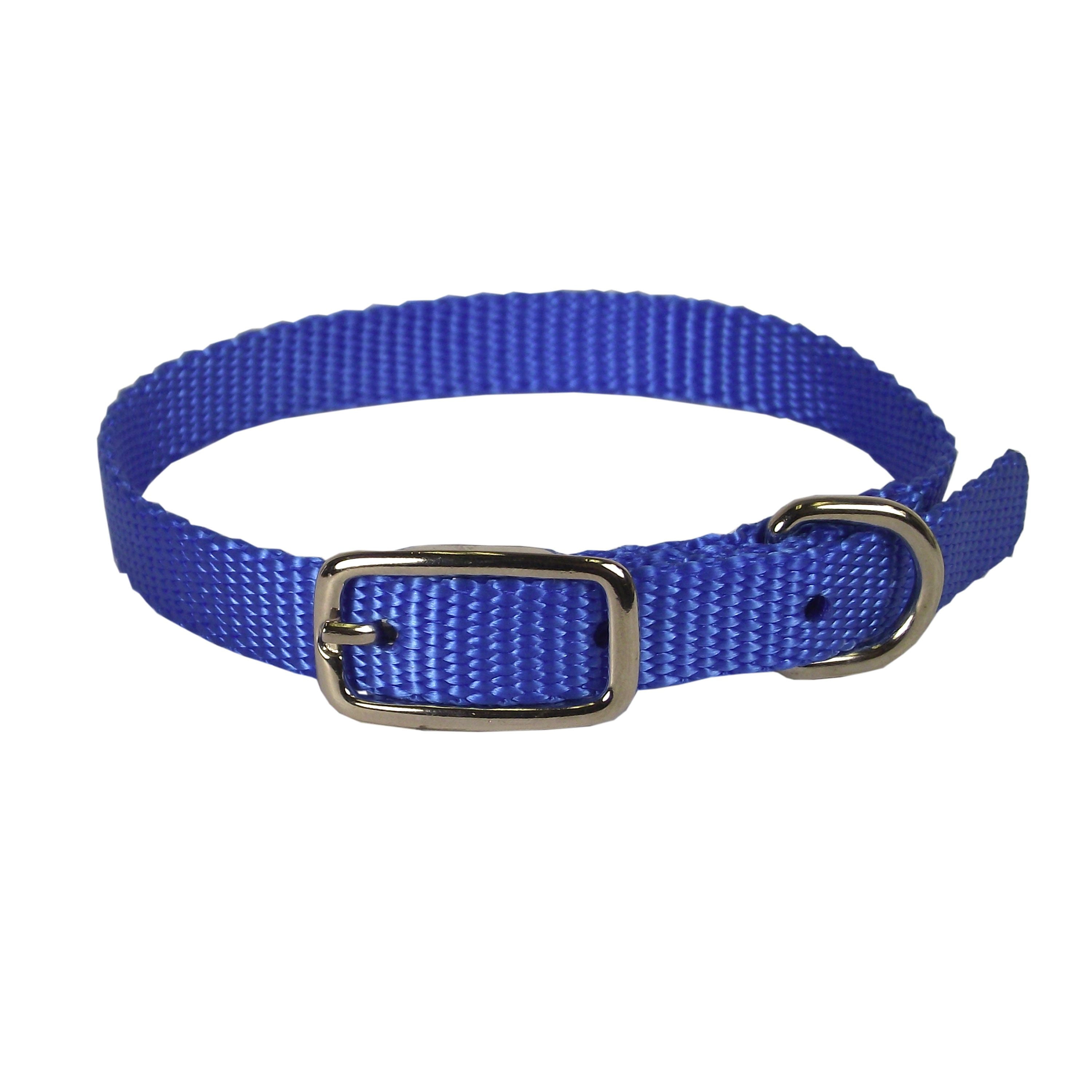 Hamilton 3/8" Single Thick Nylon Deluxe Dog Collar, 12 inch, Blue
