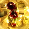 thumbnail image 1 of Tira De Luces Led De 20 Y 2 Uds. Rosa Rosa De Seda Artificial Con Pantalla De Cristal Blanco Cálido Diy Para Decoración Del Hogar Proyecto De Vacaciones Fiesta Regalo De Boda Yuarrent HA025916-02, 1 of 5