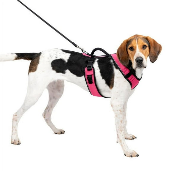 PetSafe EasySport Dog Harness, Adjustable, Padded and Reflective Piping, Large, Pink