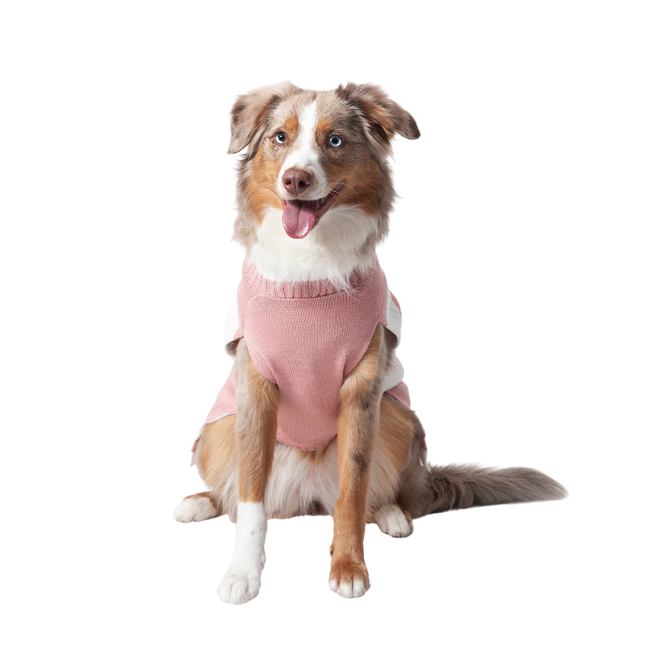 Vibrant Life Winter Dog Clothes Spoiled Pink Sweater, Extra Large