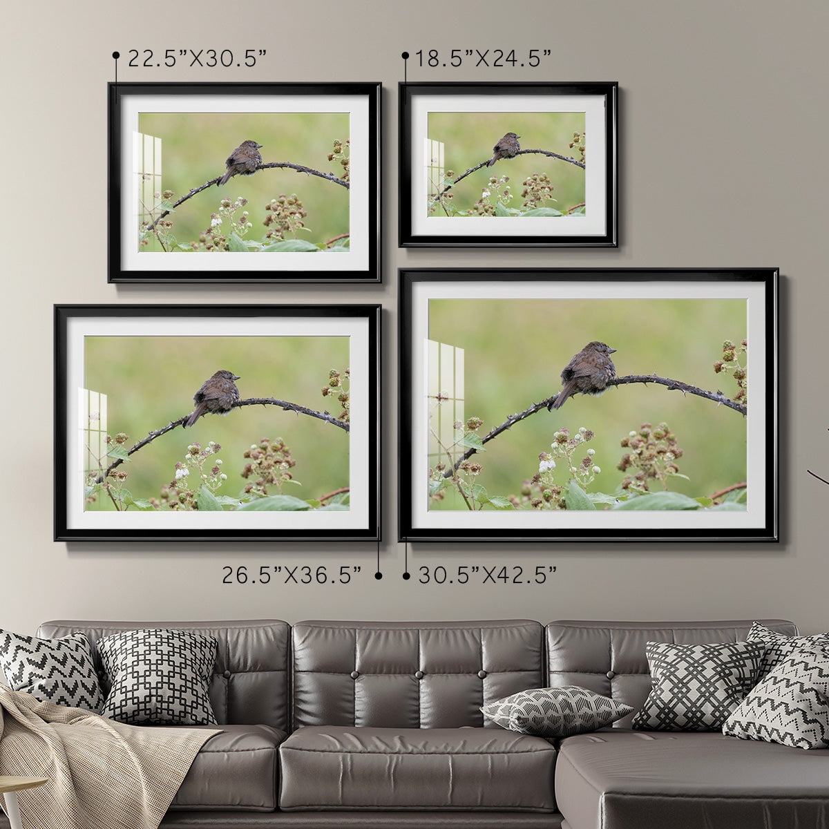 Resting Sparrow Premium Framed Print - Ready to Hang