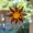 Style E, variant on Radiant Sunflowers Acrylic Suncatcher, Flower Sun Catchers for Window Hangings,Sun Acrylic SunCatcher, Boho SunCatchers for Window Hanging Ornament,Gifts for Mom,Grandma,Wife,Women