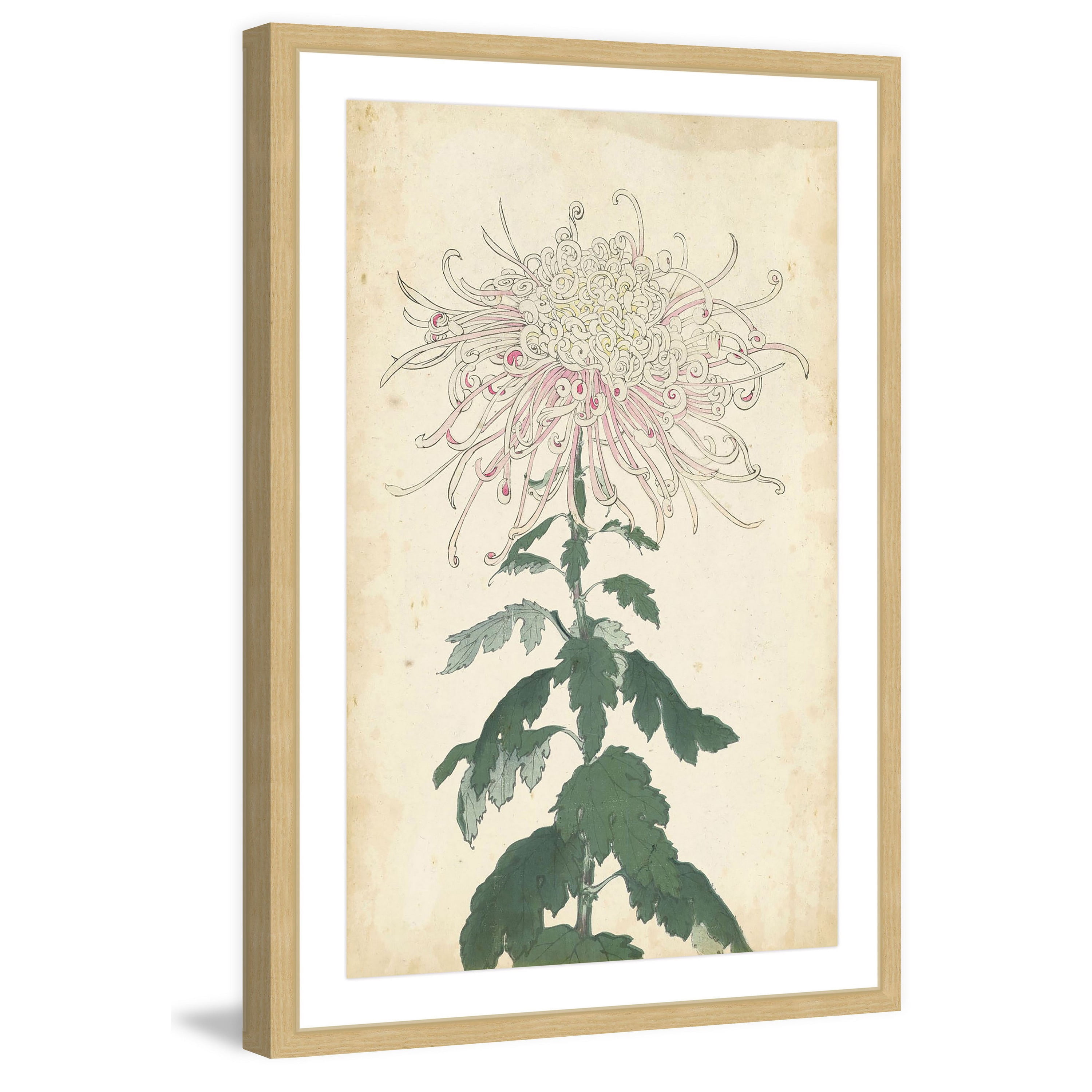 MARMONT HILL  - 'Chrysanthemum IV' Framed Painting Print - Multi-Color 16 x 24