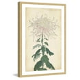 thumbnail image 3 of MARMONT HILL  - 'Chrysanthemum IV' Framed Painting Print - Multi-Color 16 x 24, 3 of 5