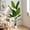 White (Upgraded Pot), variant on Easy4Home 4.6FT Artificial Plant Fake Tropical Palm Tree Potted Indoor Faux Floor Plant for Home Office Decor