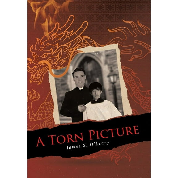 A Torn Picture (Hardcover)