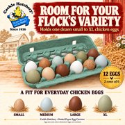 Vented Paper Pulp Egg Cartons - Teal (12-Pack)