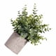 thumbnail image 4 of Maceta de flores falsa Mesa interior Mini Bonsai artificial Decoración del hogar Flor en maceta de simulación Methold HA8899-00B, 4 of 6