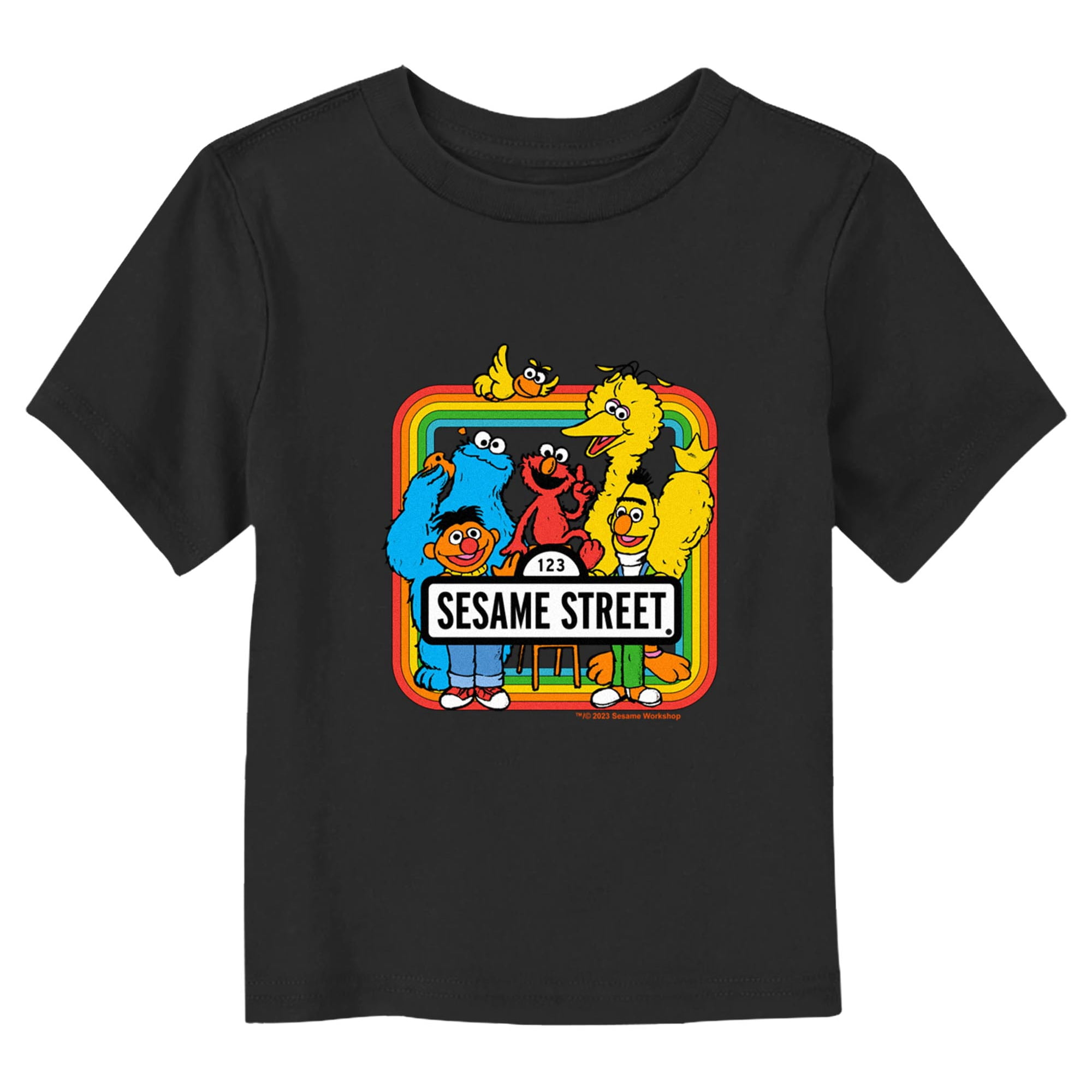 Toddler's Sesame Street Rainbow Box Friends Portrait Graphic T-Shirt