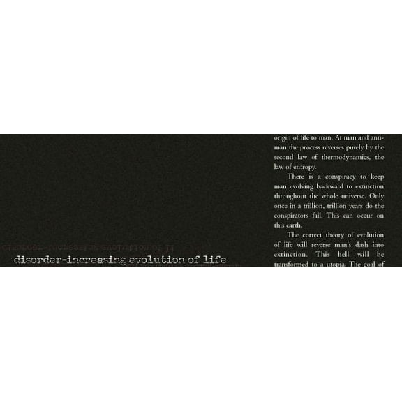 Disorder- Increasing Evolution of Life (Hardcover)