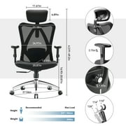 Sihoo M18 Mesh Ergonomic Office Chair with Adjustable Lumbar Support, High Back, Black