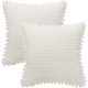 thumbnail image 1 of Juego de 2 fundas de almohada decorativas de pana suave, cuadradas, para sofá, dormitorio, sala de estar, exterior, 18 x 18 pulgadas, 1 of 8