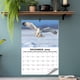 thumbnail image 3 of Fiudx Liquidación de ofertas flash Calendario de pared con fotografías de aves rapaces, 3 of 7