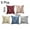 Stripe, variant on REGALWOVEN 4 Pack Linen Modern Plant Printed Square Throw Pillow covers, 18"x18", Multicolor