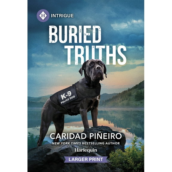 Crooked Pass Security Buried Truths, Book 4, (Paperback)