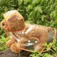 thumbnail image 4 of Chubasquero transparente para perros shaofei impermeable resistente al viento con capucha tira reflectante XXX-grande, 4 of 5