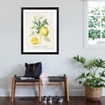 thumbnail image 4 of Art.com Floursack Lemon IV Art Print by Danhui Nai, Black Frame Wall Art, 32" x 40", 4 of 5